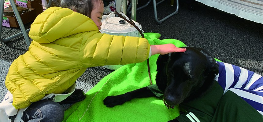 テントの前で寝そべる黒い盲導犬のモミジをなでる娘