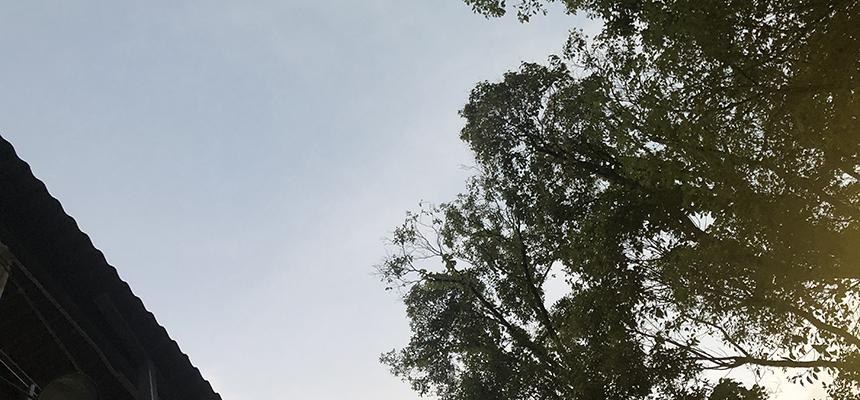 野外音楽堂の屋根の端と、夕方の空に広がる木々