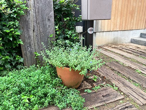 枕木を敷いたエントランスと、植木鉢のグリーン